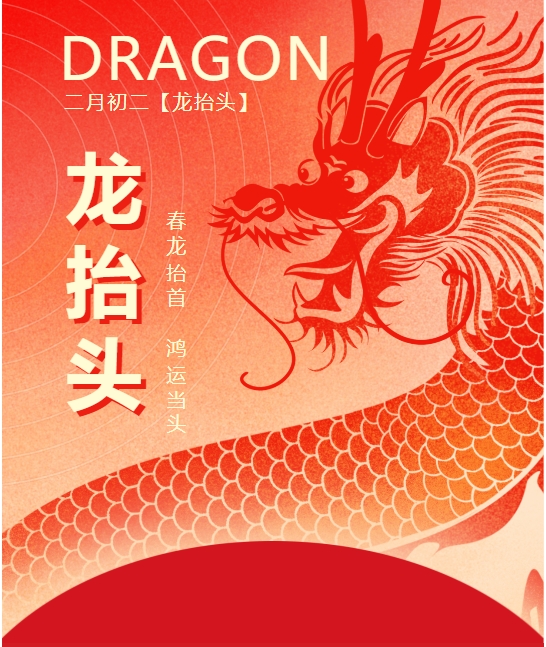 二月二龍?zhí)ь^，春龍振翅鴻運啟 —— 佳木斯網(wǎng)云信息科技有限公司與您共迎新春盛景